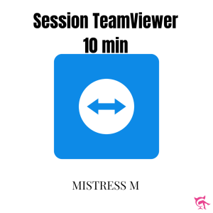 Session TeamViewer (10 min)