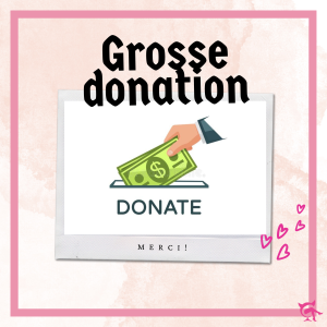 Grosse donation