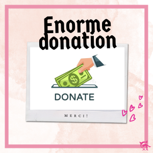 Enorme donation