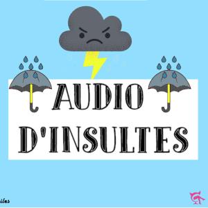 🎧😈 Audio d'insultes pour soumis 😈🎧