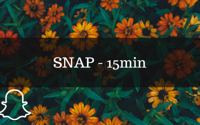 SNAP - 15min