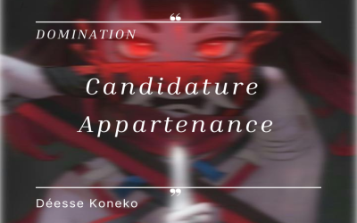 Candidature appartenance